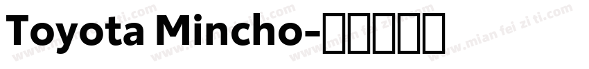 Toyota Mincho字体转换